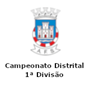 Campeonato Distrital  1ª Divisão