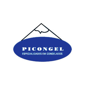 CAMPEONATO AFH PICONGEL - SENIORES - FUTEBOL