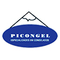 Campeonato AFH Picongel - Seniores Futebol