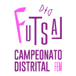 Campeonato Distrital de Futsal Sénior Feminino