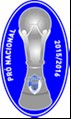 CAMPEONATO DISTRITAL DIVISÃO PRÓ-NACIONAL